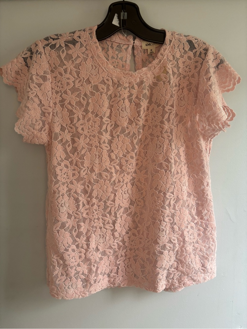 Love Culture Blush Pink Floral Lace velvet Short Sleeve Top
